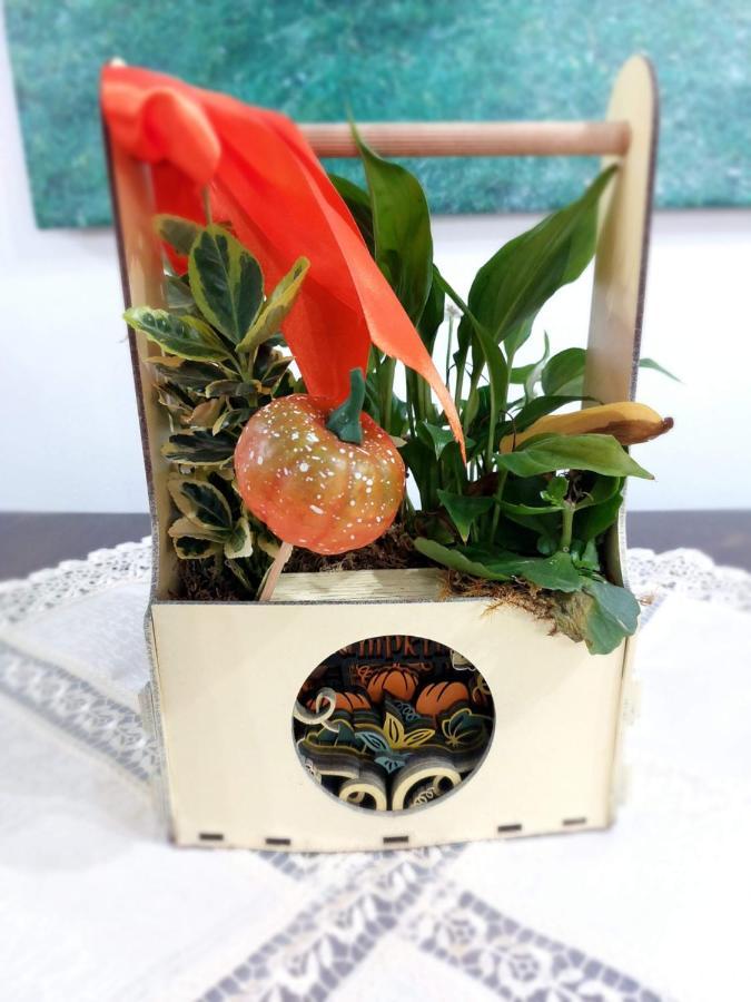 Casa Calea Haiducilor Sohodol  Luaran gambar