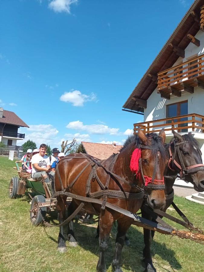 Casa Calea Haiducilor Sohodol  Luaran gambar